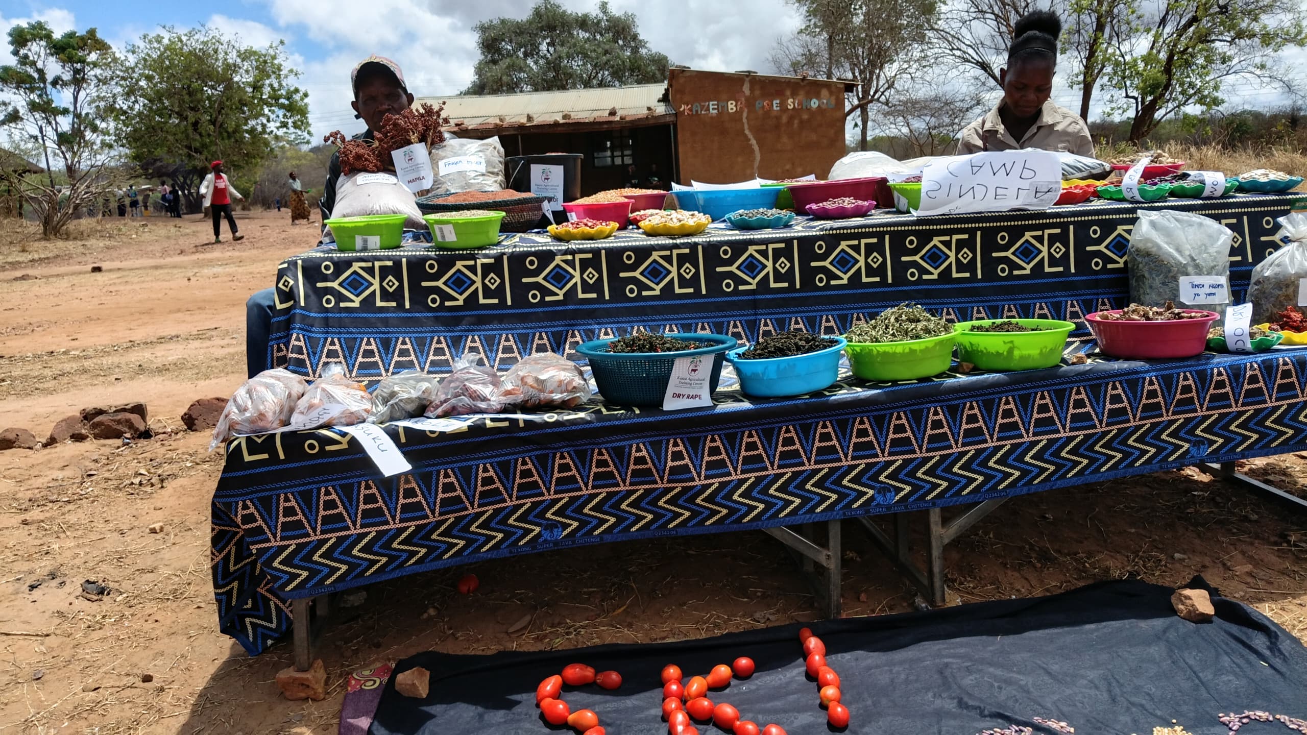 Chongwe Community Farmer Outreach